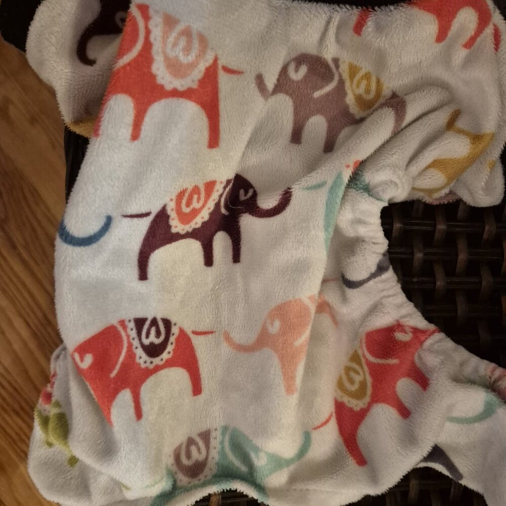 🐩 Clothes and Accessories for Dog Size S or XS - Post 1 of 2 - Picture 6 of 16